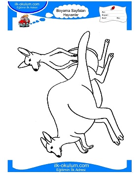 Çocuklar İçin Kanguru Boyama Sayfaları 